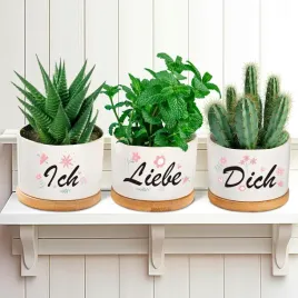 ceramiczne-doniczki-na-sukulenty-zestaw-3-szt-z-podstawkami-w8-cm-x-55