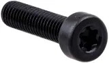sruba-k960-internal-torx-socket-head-cap-m-6-x-25