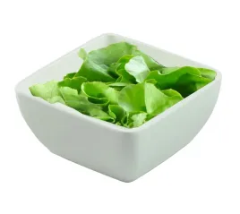 kwadratowa-salaterka-z-melaminy-snieznobiala-24x254x120mm-pure-szron