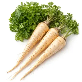 pietruszka-korzeniowa-korzenna-halblange-berlinska-biala-nasiona-warzyw