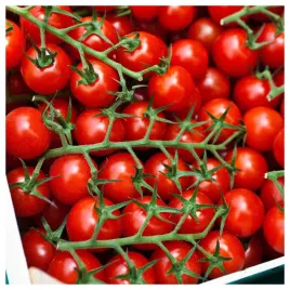 pomidor-wysoki-koktajlowy-pokusa-cherry-wczesny-nasiona-warzyw