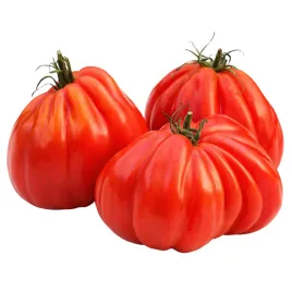 pomidor-bawole-serce-oxheart-wczesny-odporny-wysoki-nasiona-warzyw