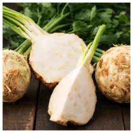 seler-korzeniowy-albin-wczesny-plenny-nasiona-warzyw