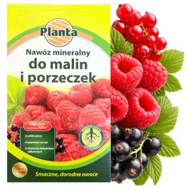 nawoz-planta-1kg-do-malin-i-porzeczek