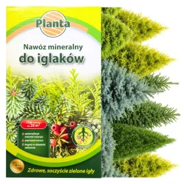 nawoz-ganulowany-planta-1kg-do-iglakow-i-roslin-kwasnolubnych