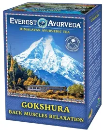 everest-ayurveda-gokshura-herbatka-ziolowa-ulga-na-bole-plecow-stawow