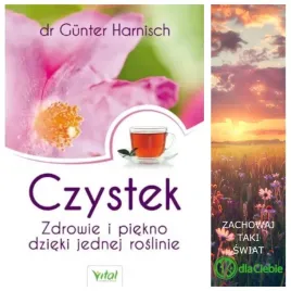 czystek-zdrowie-i-piekno-dzieki-jednej-roslinie