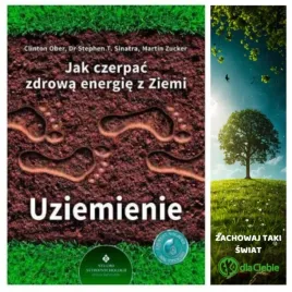 uziemienie-jak-czerpac-zdrowa-energie-z-ziemi
