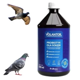 volantor-probiotyk-dla-golebi-500-ml-probiotics