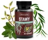 stawy-60-kaps-skoczylas-postac-kapsulki