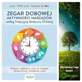 zegar-dobowej-aktywnosci-narzadow-wg-tradycyjnej-m