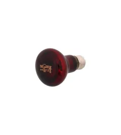 zarowka-czerwona-infrared-heat-repti-planet-25w
