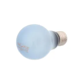 zarowka-grzewcza-neodymowa-repti-planet-100w