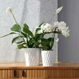 doniczka-oslonka-ceramiczna-biala-16-cm-stan-nowy
