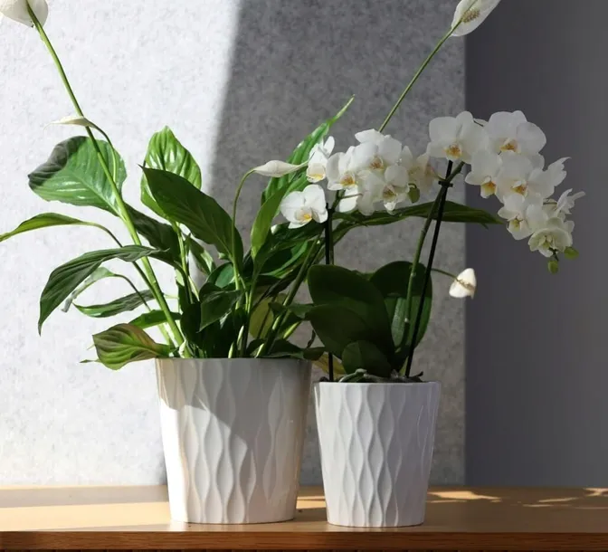 doniczka-oslonka-ceramiczna-biala-16-cm-material-wykonania-ceramika
