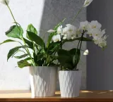 doniczka-oslonka-ceramiczna-biala-16-cm-material-wykonania-ceramika