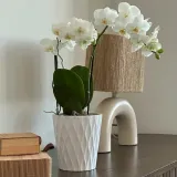 doniczka-oslonka-ceramiczna-biala-16-cm-wysokosc-produktu-16-cm
