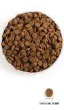 acana-senior-dog-2kg-marka-acana
