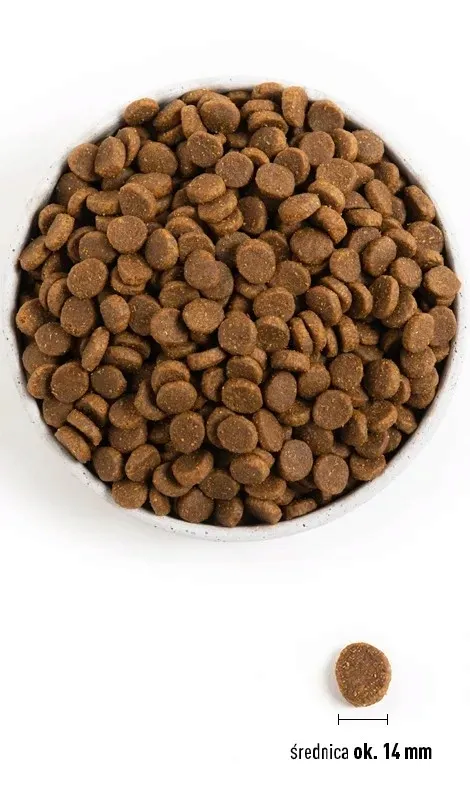acana-senior-dog-2kg-marka-acana