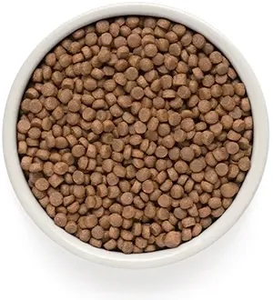grandorf-cat-4-meat-sterilized-400g