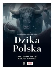 dzika-polska-tam-gdzie-wciaz-rzadzi-natura