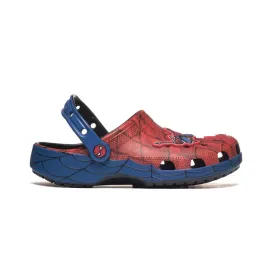 spider-web-clog