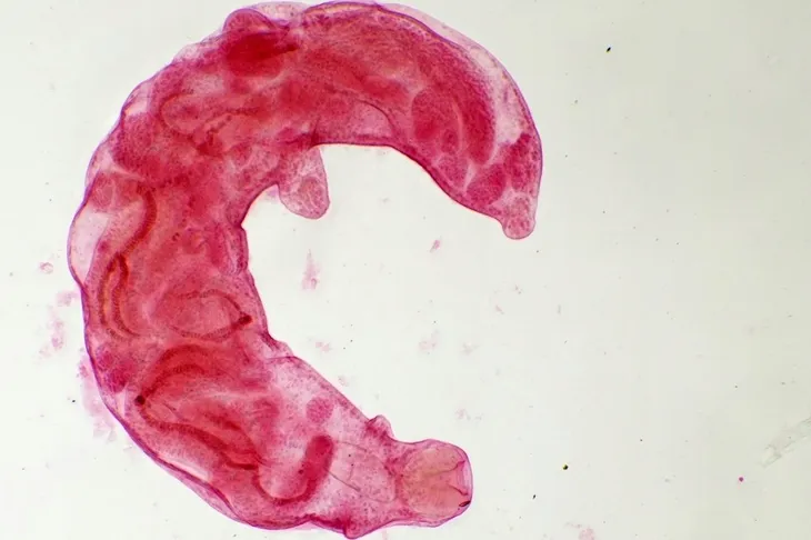 mikroskop-delta-optical-do-8601-stan-opakowania-oryginalne