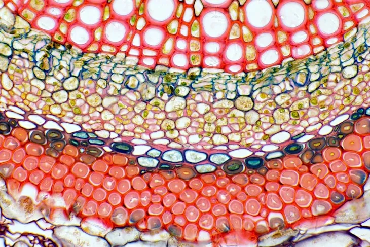 mikroskop-delta-optical-do-8601-stan-nowy-model-do-8601