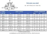 trojnik-aaa-bsp-1-stan-nowy