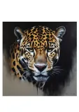 obraz-na-plotnie-canvas-50x50