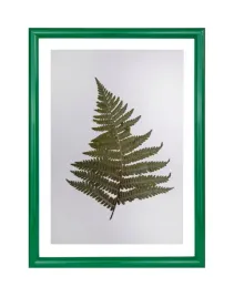 ramka-aluminiowa-rama-fotoramka-na-zdjecie-dyplom-21x297-ramka-a4-zielona
