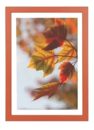 ramka-rama-fotoramka-na-zdjecie-21x297-ramka-a4-lososiowa