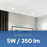 horoz-oprawa-sufitowa-natynkowa-led-lampa-tuba-sandra-5w-4200k-biala-stan-nowy