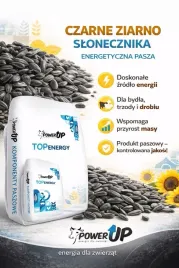 slonecznik-czarny-20kg-karma-ziarno-dla-ptakow-dzikich-sikorek-wrobli