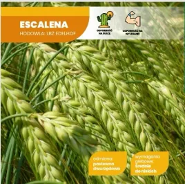 jeczmien-jary-escalena-worek-25kg