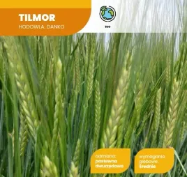jeczmien-jary-tilmor-c1-nasiona-25kg-kwalifikat-2026