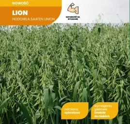 owies-zwyczajny-jary-lion-c1-nasiona-25kg-kwalifikat-2026