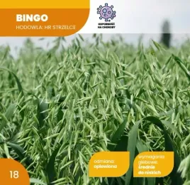 owies-jary-bingo-c1-25kg-kwalifikat-2026