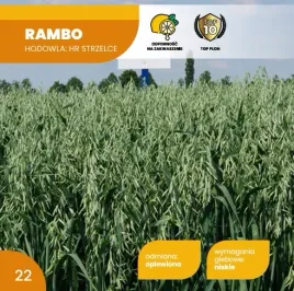 owies-jary-rambo-c1-25kg-kwalifikat-2026