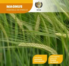 jeczmien-jary-magnus-c1-nasiona-25kg-magnus-crop-kwalifikat-2026