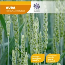 pszenica-zwyczajna-jara-magnus-crop-aura-standard-25-kg