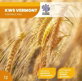 jeczmien-jary-kws-vermont-c1-nasiona-25kg-kwalifikat-2026