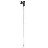 kije-leki-carbon-12-3d-120