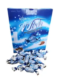 solen-wish-mini-batony-cukierki-czekoladowe-kokosowe-25-kg