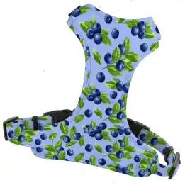 szelki-bezuciskowe-spacerowe-dla-sredniego-psa-borowki-tasma-25cm-rozm-m
