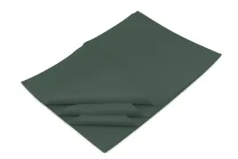 bibula-ozdobna-20g-50x70cm-butelkowa-zielen-dekoracyjna-100-arkuszy