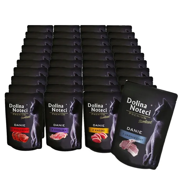 DOLINA NOTECI Premium dla kota MIX SMAKÓW 40x85g