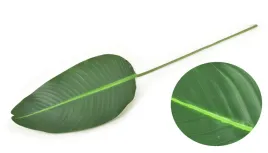 viridis-sztuczny-kwiat-100x25cm-lisc