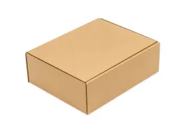 karton-wykrojnikowy-300x240x100mm-pudelko-fasonowe-a4-10-sztuk-mocne