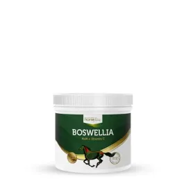 suplement-na-stawy-dla-koni-horse-line-boswellia-500g